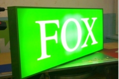 fox1_640x480