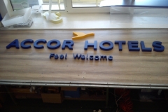 litery logo accor1