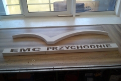 logo emc2
